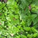 홀리허브 이미지