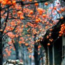 무진농장 이미지