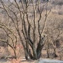 안성만물 | 소피의 세계/요슈타인 가아더/2부/중세/르네상스/바로크/