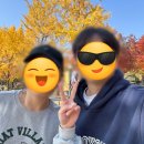 명수농장 | 2025년 11월 모아보기