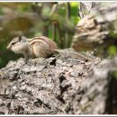 이동신협 앞 이미지