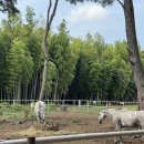 또또목장 이미지