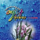 예랑 티스토리