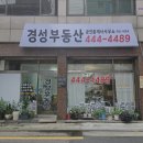 경성부동산중개사무소 이미지