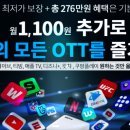제주긴급출동