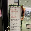 카페 바이올렛 | [바이올렛 커피] 유기묘를 보호해 주는 한솔동 카페 방문 후기