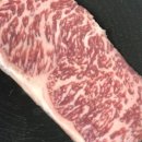 양지정육점 이미지