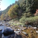 묘솔캠핑장 이미지