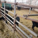 사슴자연 방목장 이미지