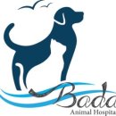 바다동물병원 이미지