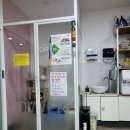 25시 동물병원 | 대구 강아지 스케일링 받은 후기 : 25시 죽곡동물병원