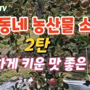 우리동네농산물 이미지