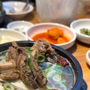 덕양구 서오릉맛집 이우철 한방누룽지삼계탕 고양원당점 점심 갈비탕 추천