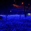 화원유원지 축구장 이미지