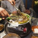 왕마포갈매기