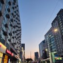 으뜸왕만두 | 일산칼국수 제주점 공항근처늦게까지하는식당 으뜸메뉴추천