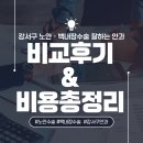 대성빌딩 | 강서구에서 노안·백내장 수술 잘하는 안과 비교 후기 &amp; 비용 총정리