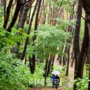 바람소리새소리 이미지