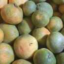 귤하우스 이미지