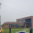 더멍멍컴퍼니 이미지