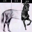 매주 주말 실시간으로 달린 옥씨부인전 후기 재미 감동 사랑 애틋함 잘생김 다 있음