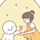 토토펫살롱 - 서구 율도로 104 | 토토펫살롱