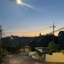 주식회사 킹덤허브 | 용산 와인바 피에르 남산 후기