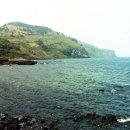 베리코스 이미지