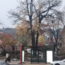 2025.11.23 대학로 연극 - 아마데우스 이미지