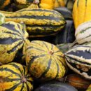 화곡본동주민센터 이미지