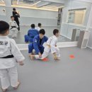 한양대 유도 이미지