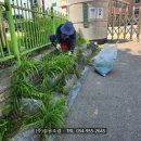 (주)성용