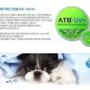 코오롱애견 이미지