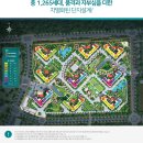 양지전자 이미지