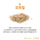 하이풀 스포츠 이미지