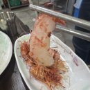어촌회마을 이미지