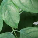 류마이준희내과의원 이미지