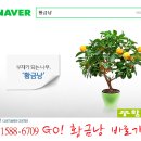 예당미소화원 | *황금낭*제주여행 가볼만한 곳- 추사적거지