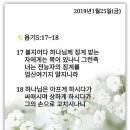 샬롬 이미지