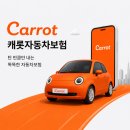 대한자동차 | 캐롯자동차보험에 대한 솔직한 후기