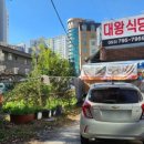 주정차단속-053 이미지