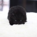 구월2동-16 이미지