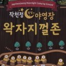 H9577 네이버블로그