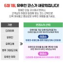 황소카인테리어 | 후쿠오카 유후인 버스투어 벳부 당일치기 내돈내산 추천 후기 feat.소소투어