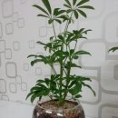 부천신흥초등학교 이미지