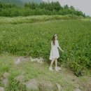 남해아라힐펜션 이미지