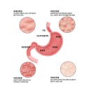 빛고을한방병원 이미지