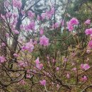 마당부동산공인중개사사무소 | 하남 구리 암사대교 근처 1,2층 교문동 토평동 창고 임대 부동산