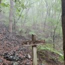 복돌이네 | [추석 2일차 기록] 통도사 백운암 : 원하는 소원 딱 한가지는 들어주신다는 산신각에서 소원빌기