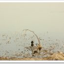 머리풍경 이미지